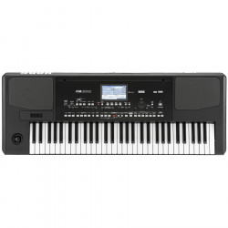 KORG PA300 - Professional Arranger