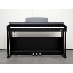 ECHORD DPX100 BLACK - Pianoforte Digitale 88 tasti pesati