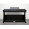 ECHORD DPX100 BLACK - Pianoforte Digitale 88 tasti pesati