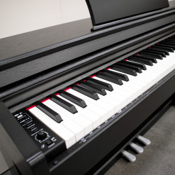 ECHORD DPX100 BLACK - Pianoforte Digitale 88 tasti pesati
