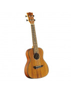 ukulele concerto